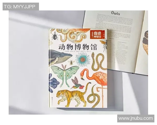 陈娜独家解析足球魅力与技巧分享助你提升球技的心得体会